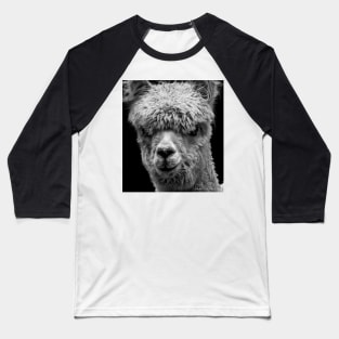 LLAMA Baseball T-Shirt